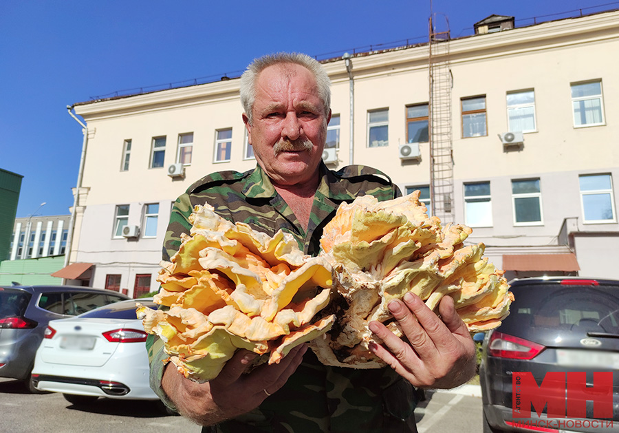 рекламный дзержинск